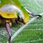 Posada Ecoturistica Rogitama