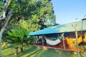 Posada Hato El Diamante