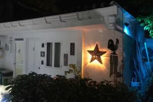 Posada Nativa Lizard House