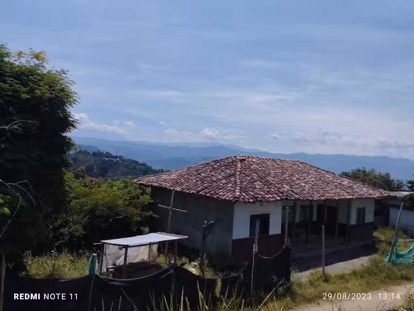 Posada Tur&iacute;stica El Girasol
