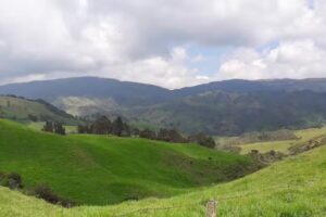 Posada Tur&iacute;stica El Yuyal