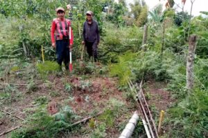 PROYECTO DE VIVIENDAS “LA BONANZA CALDONO”