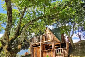 Pura Vida | Alojamiento y Glamping