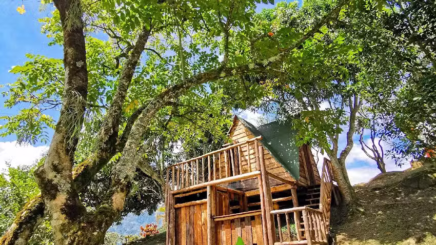 Pura Vida | Alojamiento y Glamping