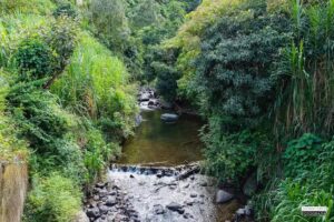 Quebrada San Francisco, San Miguel