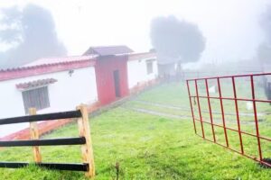 Rancho J.P & M《Experiencia Equina》