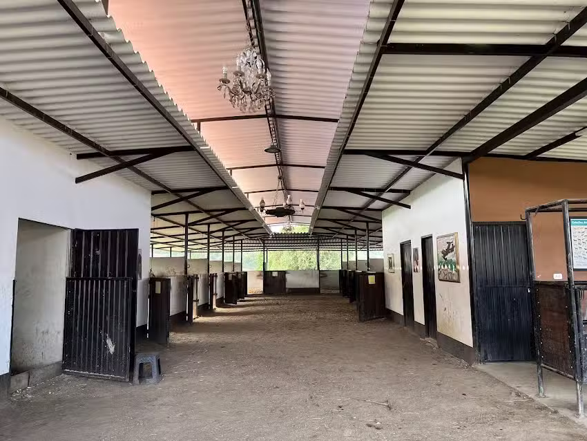 Rancho La Ximena