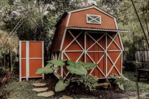 Redwood | Caba&ntilde;anas Lodge