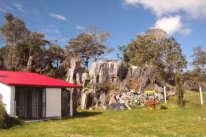 Refugio El Bosque