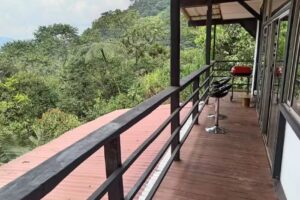 Refugio entre Bosques y Pájaros