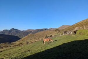 Refugio Finca La Playa