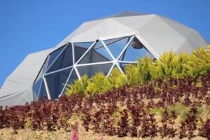 Refugio Hills Glamping