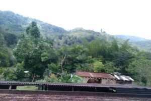 Refugio Para&iacute;so Autosustentable