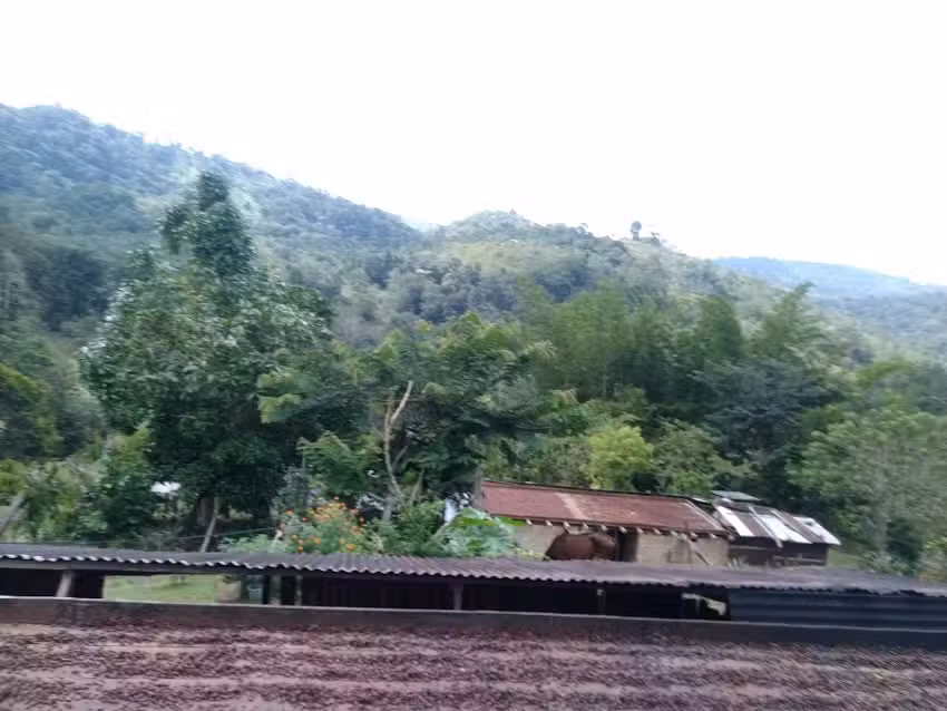 Refugio Para&iacute;so Autosustentable