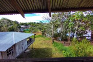 Reina Arriera Hospedaje y Tours Amazonas Colombia