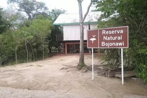Reserva Bojonawi