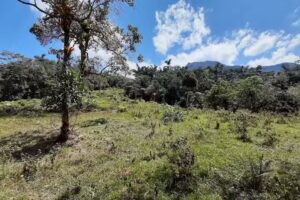 Reserva fundación Santuario monteluz