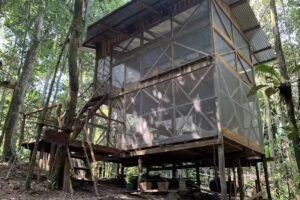 Reserva &Icirc;k&uuml; Amazonas