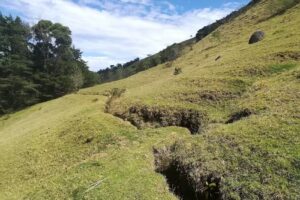 Reserva Natural Bel&eacute;n- Asociaci&oacute;n Campesina Red de Reservas Agroambientales -ACARAGRO