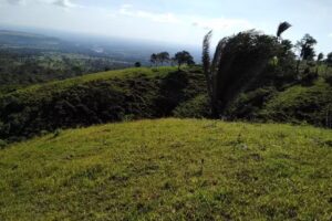 Reserva Natural Caribabare