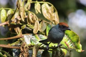 Reserva Natural El Jord&aacute;n