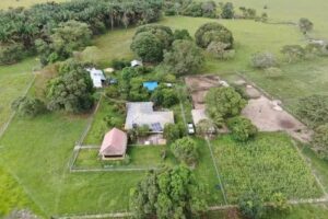 RESERVA NATURAL FLOR AMARILLO