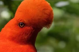 Reserva Natural Jard&iacute;n de Rocas