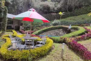 Reserva natural la planta