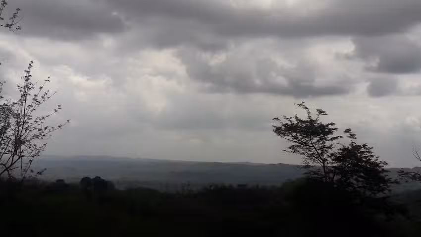 Reserva Natural Los Charcones &ndash; Lomita el paso del conejo