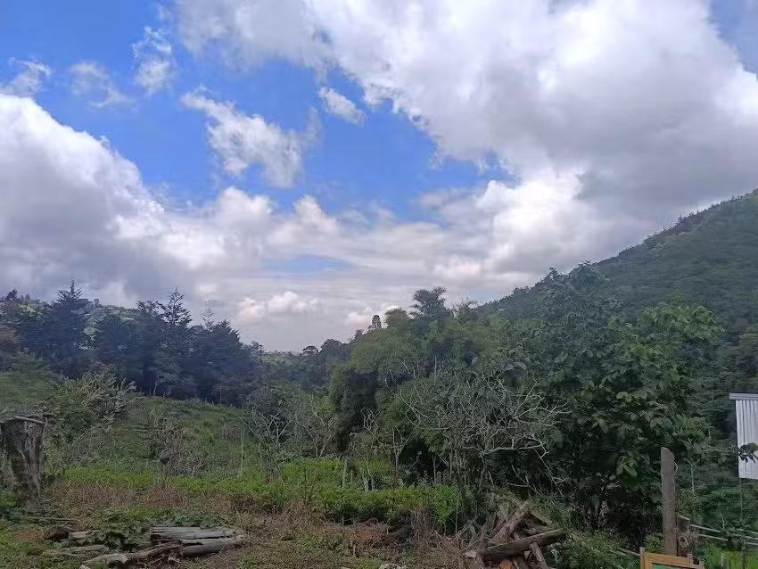 Reserva Natural Penjamo