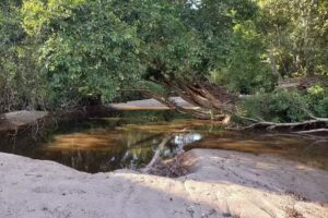 Reserva Natural Porvenir