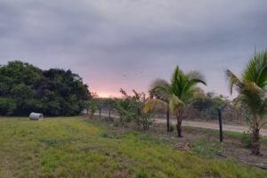 Reserva Natural Villa Aurora