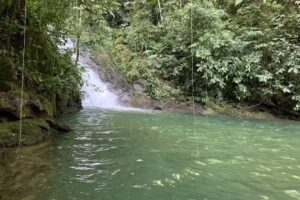 Reserva Natural y Ecotur&iacute;stica Las Palmas