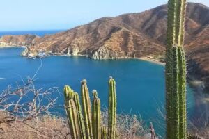 Reservas La Bonanza S A S