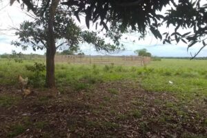 Resguardo ind&iacute;gena florida kawinanae