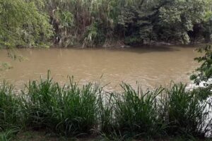 Residencia Guadalupe