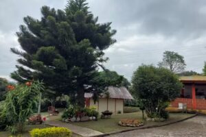 Restaurante Hostal Don Renzo