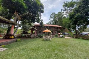 Restaurante Palo Verde