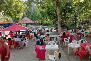 Restaurante y Balneario Las palmas