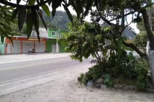 Restaurante y hospedaje El Oasis