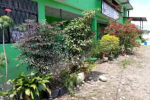 RESTAURANTE Y RESIDENCIA EL CRUCE