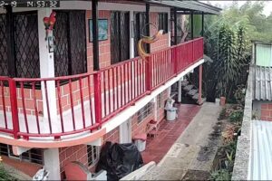 Rincón de Gil y July