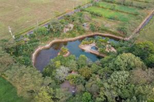 Rincón de San Nicolás