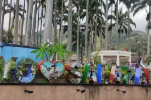 R&iacute;os los pomarrosos Salazar de las palmas