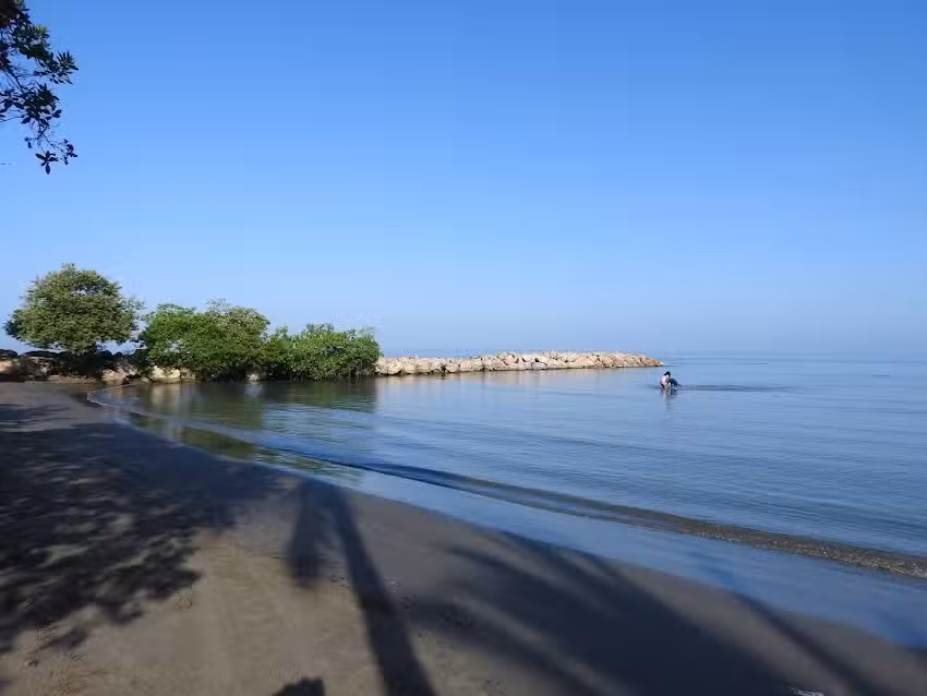 Rivera Dorada