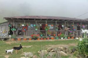 Ruta al para&iacute;so de G&eacute;nova