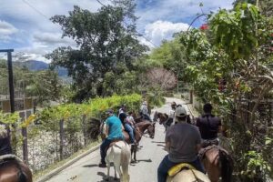 RUTAS ECOLOGICAS A CABALLO GENOVA REACGEN