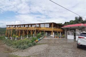 Saltaren Desierto de la Tatacoa