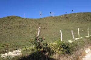 San Bartolom&eacute; Barbosa