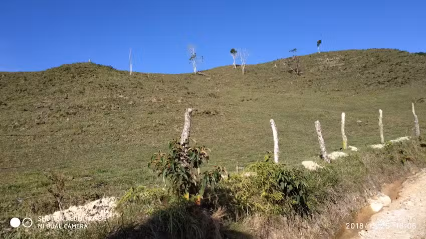 San Bartolom&eacute; Barbosa